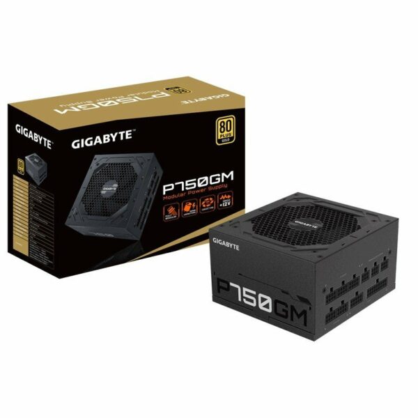 Fuente de poder Gigabyte P750GM - (GP-P750GM)