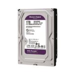 Dusco Duro WD Purple 1TB - 3.5 - (WD10PURZ)